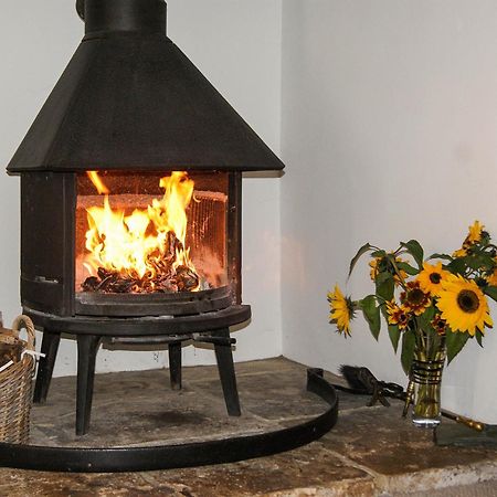 Old Orchard Cottage Haydon Екстериор снимка